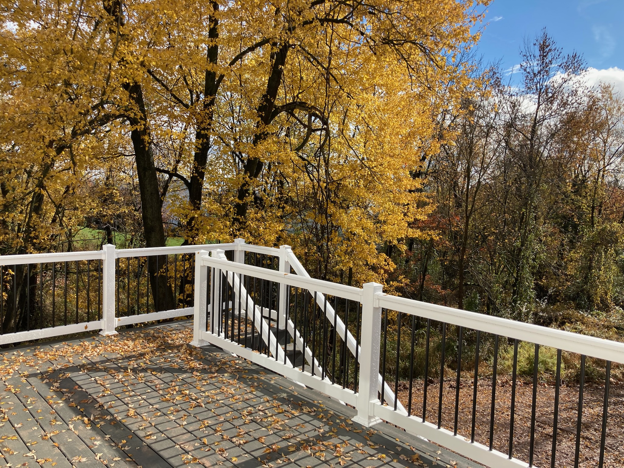 The back deck in autumn scenery
